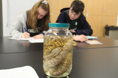 Science Olympiad students working on herpetology event